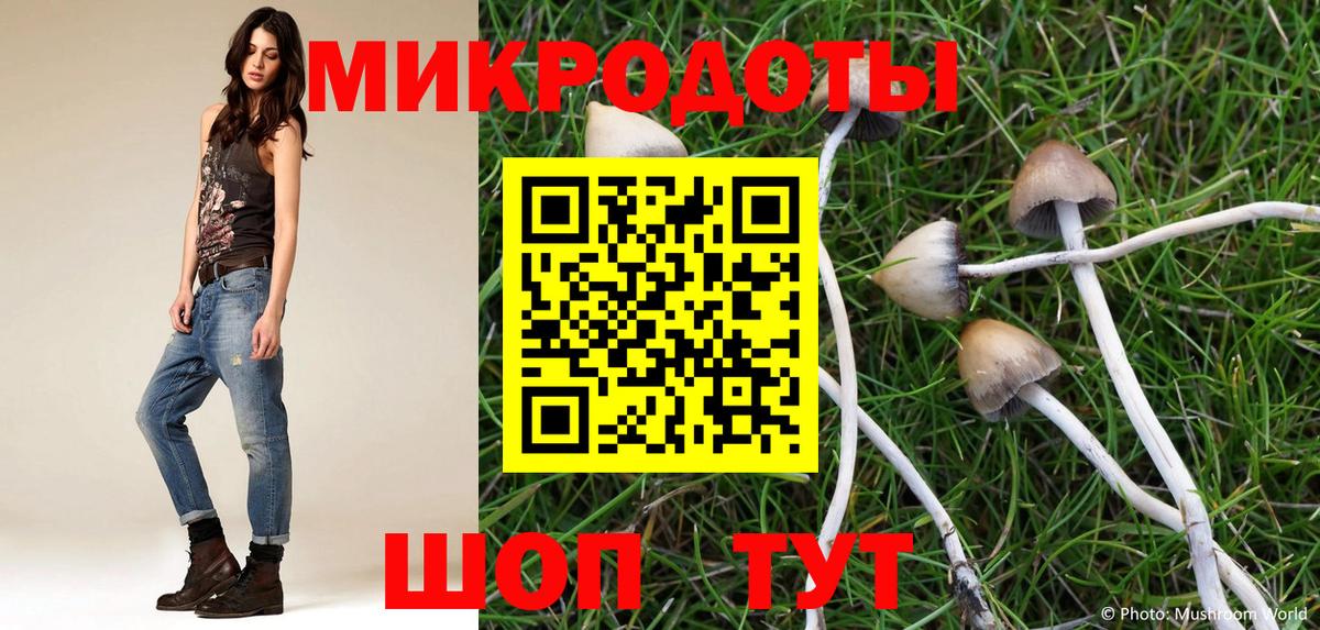 Корсаков  Галлюциногенные грибы Magic Shrooms  Вход с VPN 