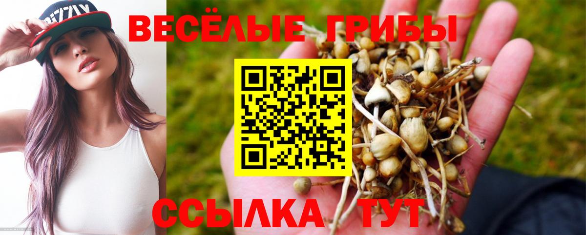 МДМА  Корсаков  Cocaine  Меф МЯУ МЯУ кристаллы  A-PVP СК   Канабис  ГАШ  Вход с VPN 